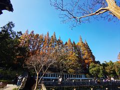 -苏州文庙(姑苏区)