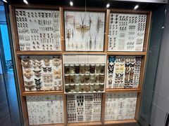 -墨尔本博物馆(Melbourne Museum)