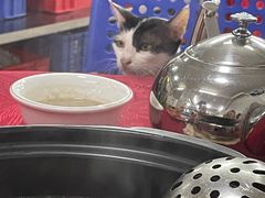 -花苑美食横琴生蚝火锅(拱北粤华路店)