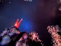 -美国自然历史博物馆