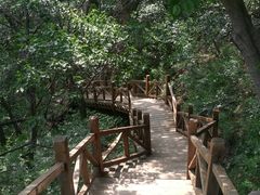 -大岭沟猕猴桃谷风景区