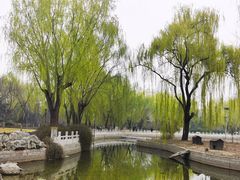 -莲花池公园