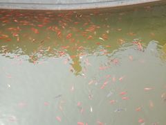 -龙口南山旅游景区