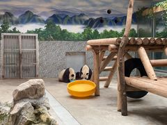 -西安秦岭野生动物园