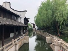 -真真老老(月河花鸟市场店)