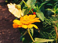 -共青国家森林公园-南大门停车场