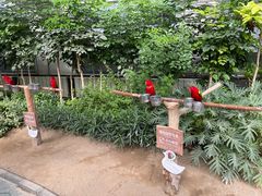 -南宫五洲植物乐园