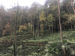-青城山