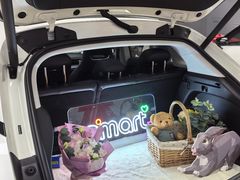 -上海浦东smart汽车全功能店(金桥店)