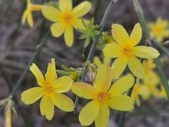 -好伦哥(温都水城店)