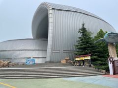 -烟台海昌鲸鲨海洋公园