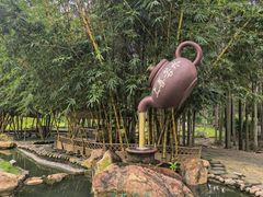 -金山植物公园