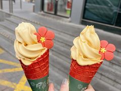 -麦当劳(农光里店)