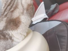 -瑞鹏宠物医院·微创内窥镜·骨外科·牙科(翠竹分院)