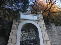 -北京鹫峰国家森林公园