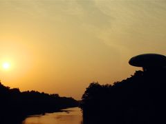 -中国湿地博物馆