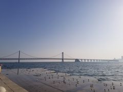 -星海湾跨海大桥