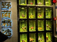 -野·大山里野生菌石锅土鸡(益田假日店)