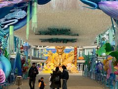 -海合安成都极地海洋公园