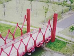 -菊园百果园