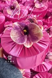 -卡卡喜糖伴手礼·商务礼宝宝礼·婚礼用品