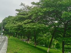 -东莞植物园