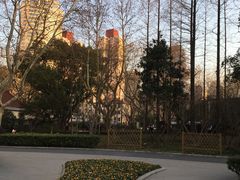 -徐家汇源景区-衡山公园