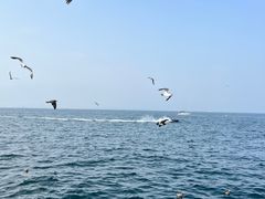 -大连海昌东方水城