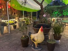 -头上红煨盐鸡·非遗院子餐厅