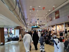 -奥利弗·雷金纳德·坦博国际机场