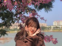-艾米稻香小镇