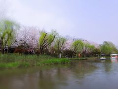 -御池园(顾村公园店)