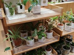 -MUJI无印良品(环球港店)