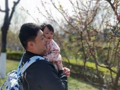 -西安青龙寺遗址景区