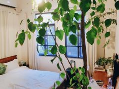 -厦门良筑精品酒店(厦门中山路店)