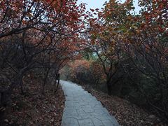 -北京西山国家森林公园