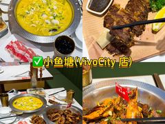 -圣淘沙天际线斜坡滑车