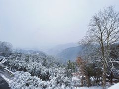 -莫干山风景区