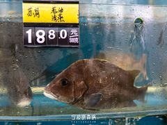 -渔中舟海鲜大排档(普陀沈家门店)