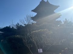 -迎泽公园