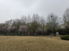 -达活泉公园