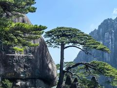 -黄山风景区