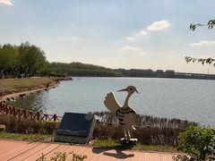 -丁香湖公园