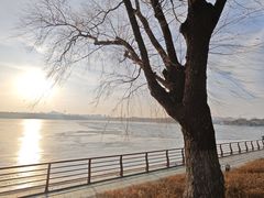 -长春市南湖公园