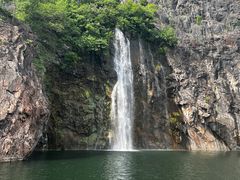 -上海辰山植物园