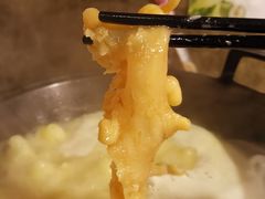 -鲜入围煮花胶鸡海鲜火锅