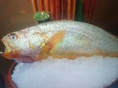 -海立阁海鲜江浙菜(漕河泾印象城店)