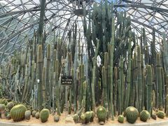 -深圳仙湖植物园