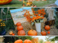 -HERRE·FARM 赫尔露营农场·团建聚会包场