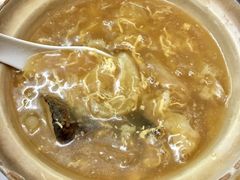 -添發碗仔翅美食